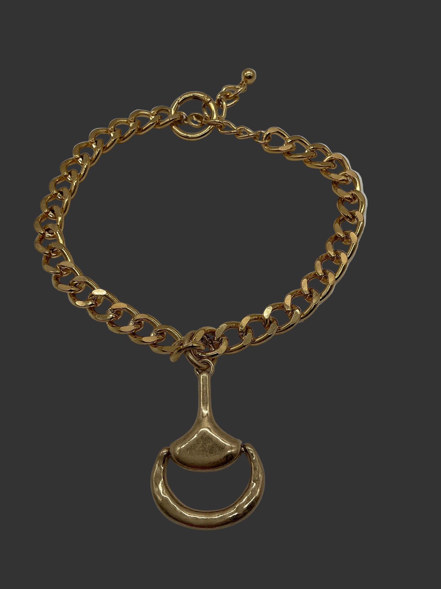 GOLD CHAIN NECKLACE WITH HORSEBIT CHARM