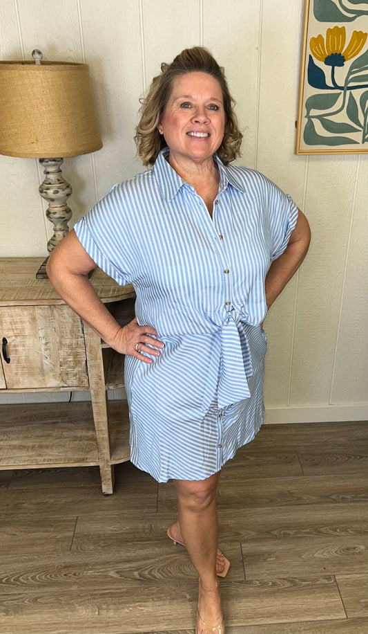 Blue Harbor Cinch Dress