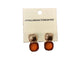 DUBL METAL/STONE EARRING(08694